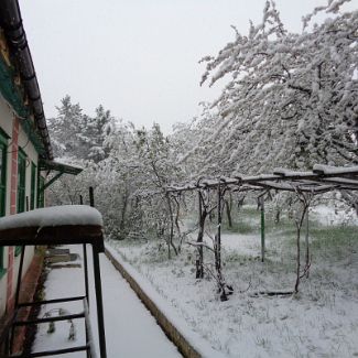 Заснеженный сад у финского домика КАС МГУ