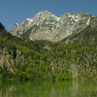 Blick auf Watzmannmassiv Blick auf Watzmannmassiv vom Saletalm