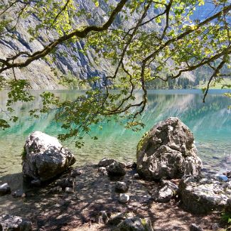 Obersee