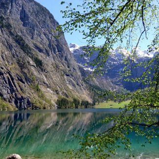 Obersee