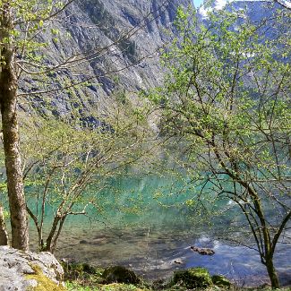 Obersee