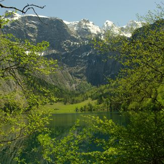 Obersee