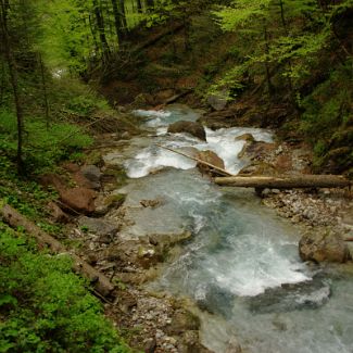 In der Klamm