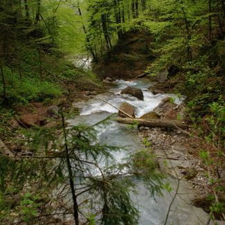 In der Klamm