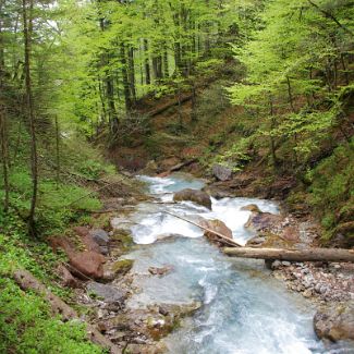 In der Klamm