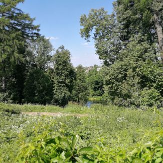 Озеро в парке усадьбы «Горки»