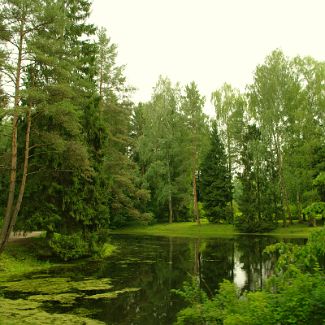 Верхний Старосильвийский пруд