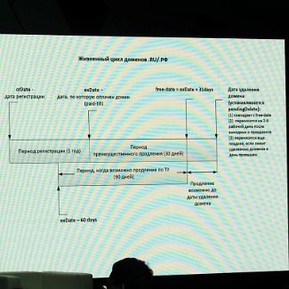 Жизненный цикл доменов .RU/.РФ