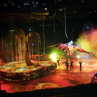 Торук - первый полёт Cirque du Soleil's Toruk - The First Flight