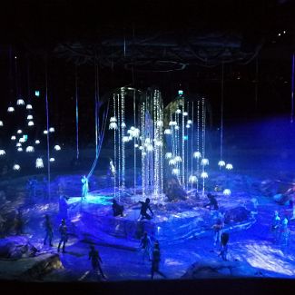 Торук - первый полёт Cirque du Soleil's Toruk - The First Flight