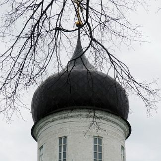 Купол Троицкого собора в Александровской Слободе