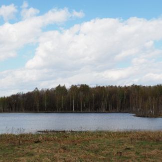 Озеро Берёзовское, Ярославская обл.