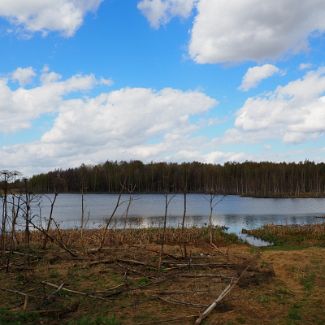 Озеро Берёзовское, Ярославская обл.