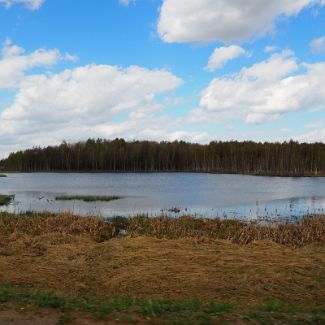 Озеро Берёзовское, Ярославская обл.