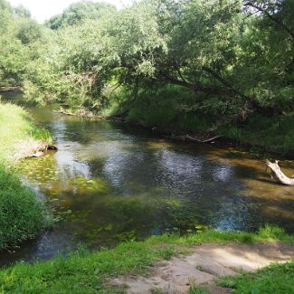 Река Лама после ГЭС ниже по течению