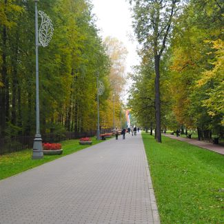 Центральная аллея Воронцовского парка