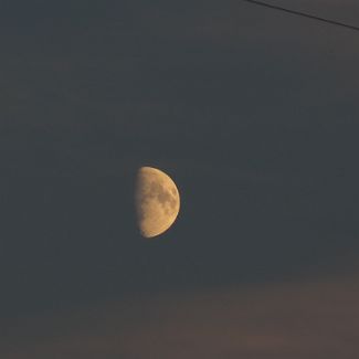 The Moon