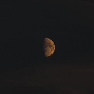 The Moon