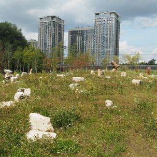 Сад камней в парке Хуамин