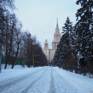 Аллея в спортивном городке МГУ