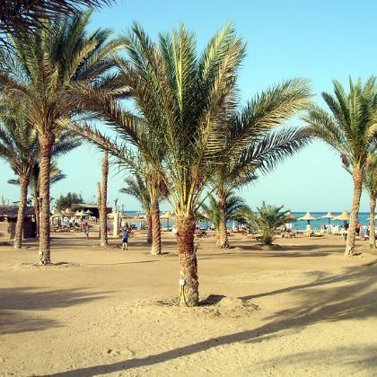 Egypt: Makadi Bay & Royal Azur beach