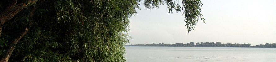 Вид на Дунай из Вилково : Украина, River, Вилково, Panorama