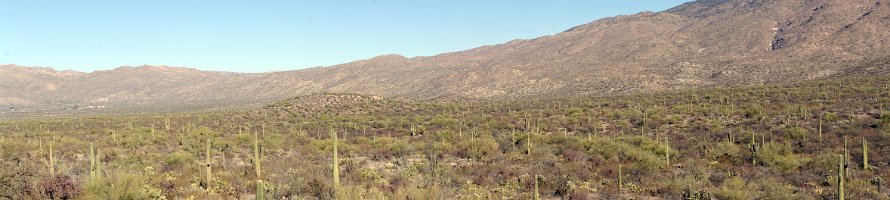 Arizona: Saguaro Park  Panorama of the Saguaro National Park : USA, Arizona, Panorama