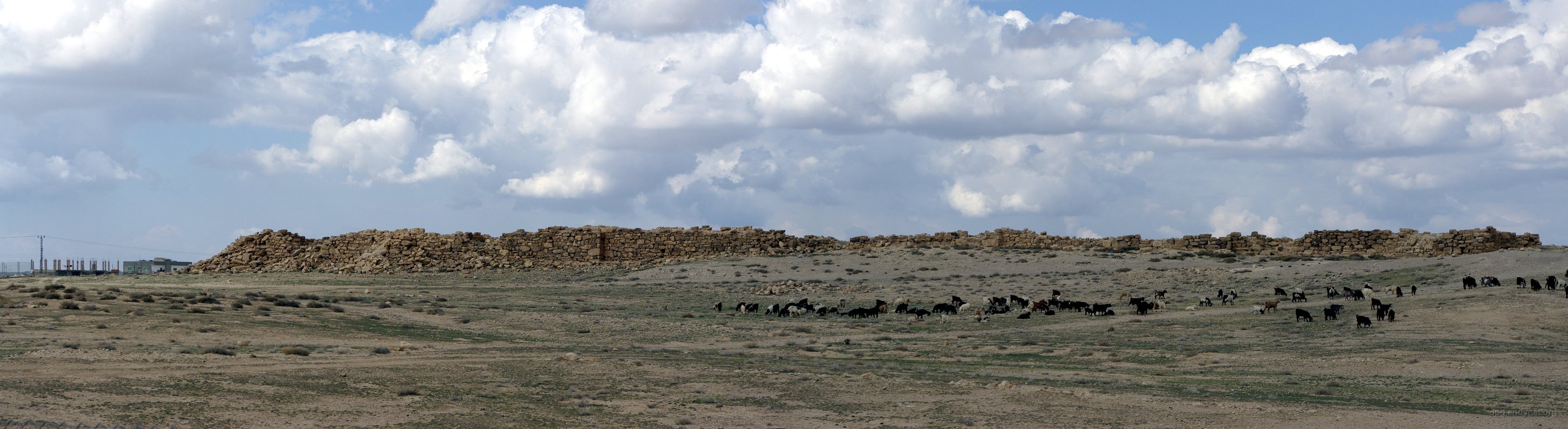 Jordan: Umm Al-Rasas ruins