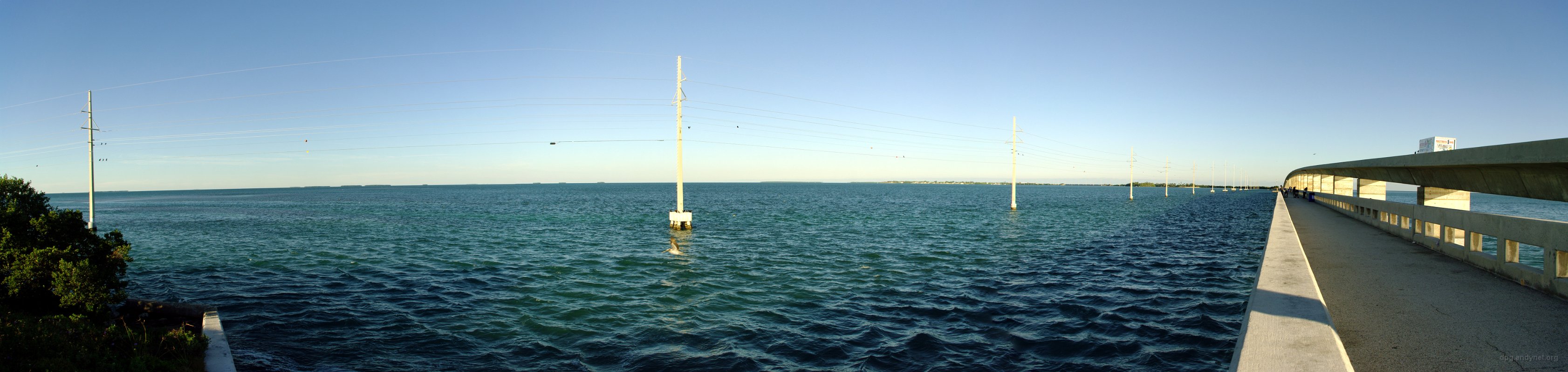 Florida Bay view