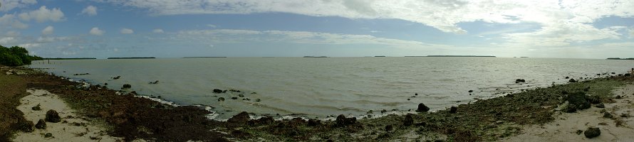 Florida Bay panorama  Panoramic view on Florida Bay from Flamingo Visitor Center (Everglades National Park, FL)  Панорамный вид на Флоридский залив с южной оконечности полуострова Флорида. На горизонте видны острова архипелага Флорида-Кис. : USA, Florida, Panorama, Sea, Море