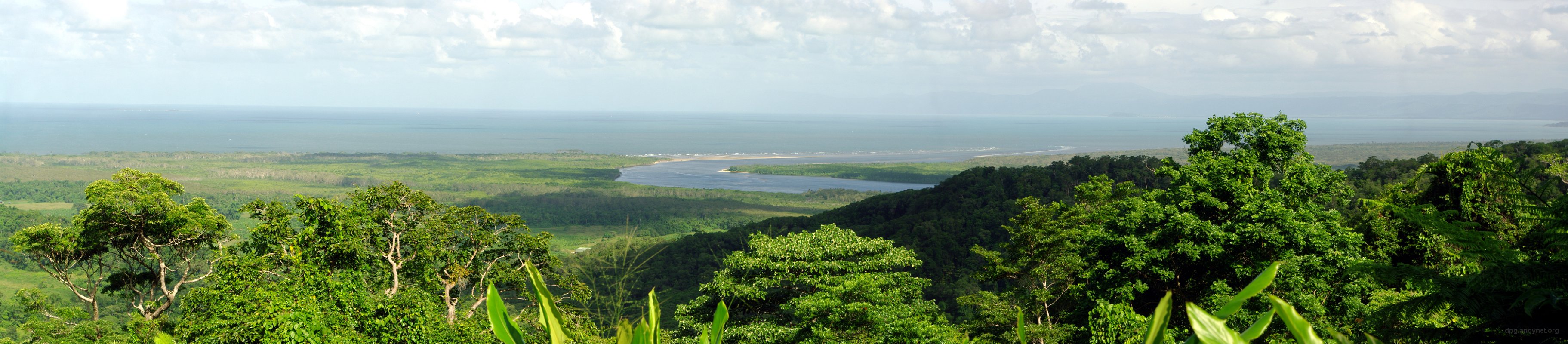 Mouth of the Daintree River