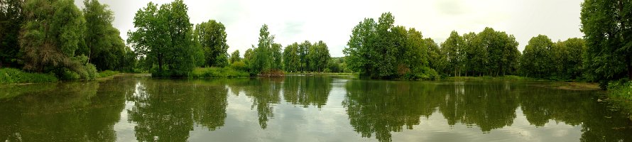 Барский Пруд усадьбы Середниково : Panorama, Усадьба, Lake