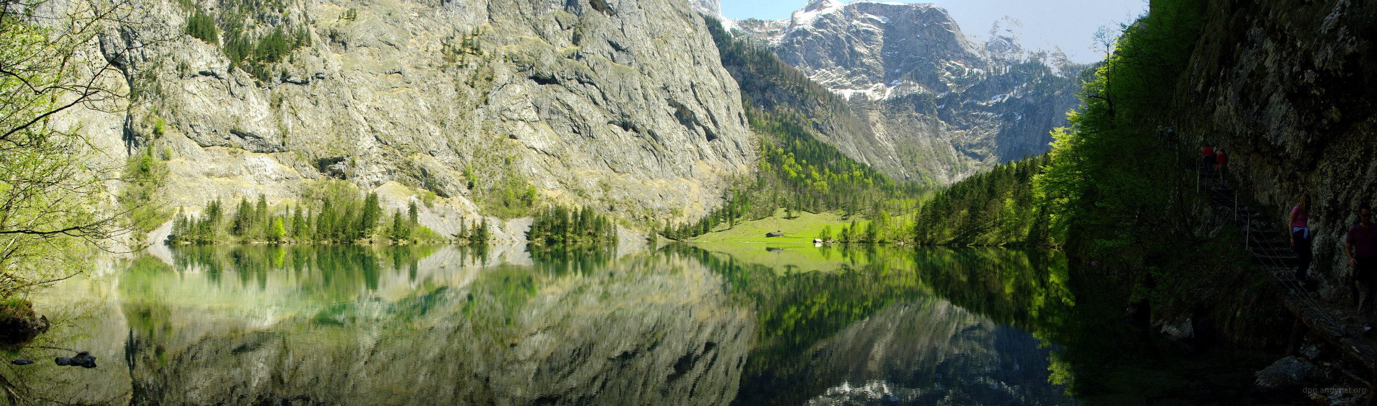 Obersee Panorama