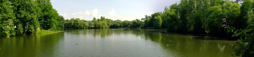 Большой пруд усадьбы Остафьево : Homesteads, Lake